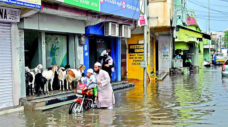 A man and his child pull their bike through knee deep water after the heavy rains in Hyderabad that inundated most of the roads in the Old City on Friday, as goats take shelter outside an ATM. INN