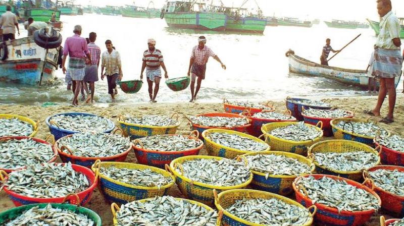Hundreds of fishermen and families continued their sit-in protest against the slaying of their 20-year-old kin Britjo by the Sri Lanka Navy. (Representational image)