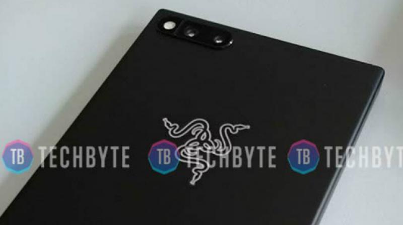 The image shows the rear panel of the smartphone revealing the dual camera on top-left corner along with an LED flash. The Razer branding can be seen on the on the centre of the phone. (Image: Techbyte)
