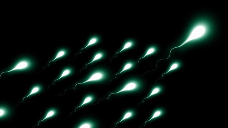 Danish sperm donors are in high demand. (Photo: Pixabay)