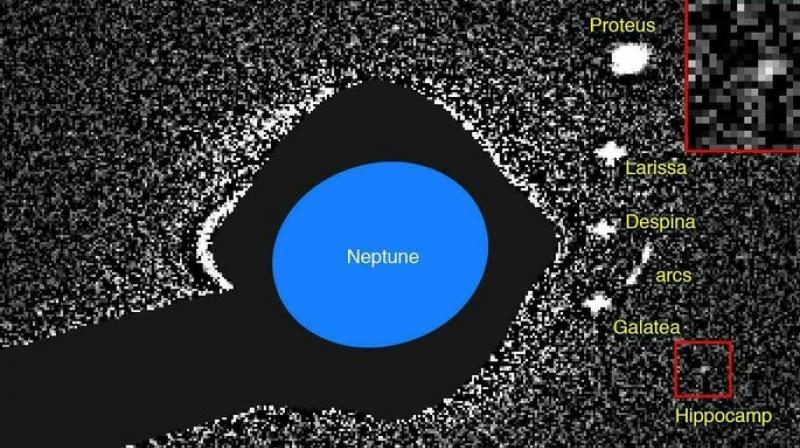 Hippocamp  Neptunes tiniest moon is a survivor