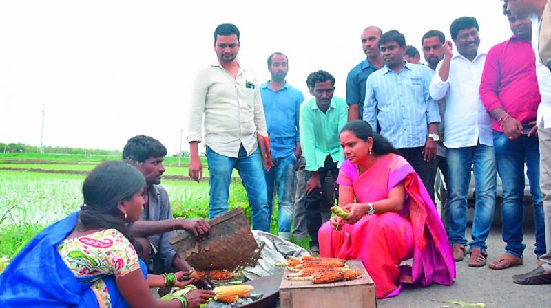 TRS MP K. Kavita buys a cob of baked corn from a couple at a village near the National  Highway in Nizamabad on Sunday. (Photo:DC)