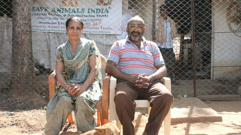 Surya Singh and his wife Anju, who have set up Save Animals India shelter at Yelahanka. (Photo: DC)