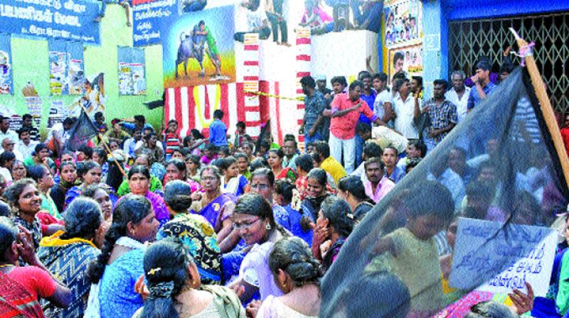 People continue their protest near Vadivaasal in Alanganallu, Madurai on Sunday. (Photo: DC)