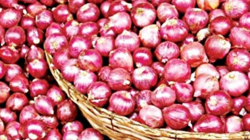 Additional trains to transport bumper harvest of Nashik onions