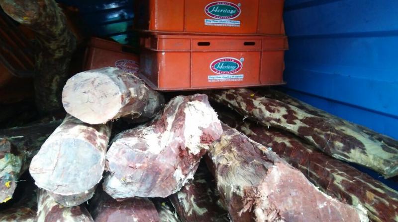 The red sander logs seized by the task force in Tirupati on Tuesday.