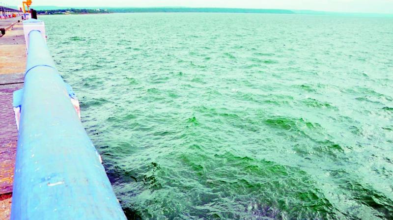 Nagarjunasagar dam brimming with water after it received an inflow of 73,364 cusecs on Thursday.