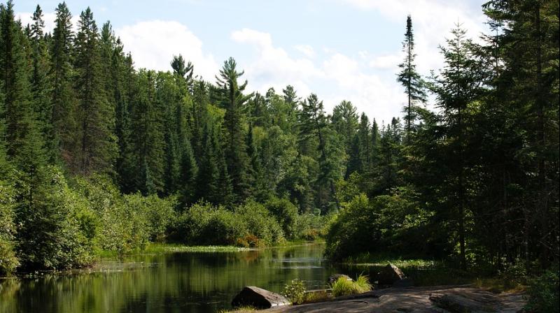 Algonqui Provincial Park in Ontario. (Photo: Pixabay)