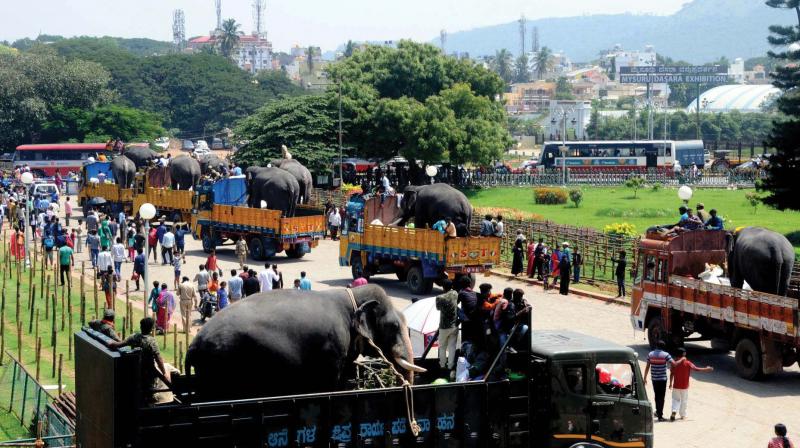 Dasara elephants being taken to Nagarahole in trucks from Mysuru on Sunday