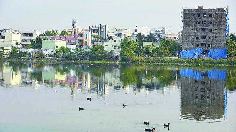 A view of the Pragati Nagar lake which has been shrinking due to land being illegally occupied for buildings within the boundaries.