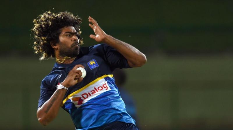 Malinga acknowledged the emergence of Jasprit Bumrah in Mumbai Indians outfit and said he is a fine prospect in the shortest format. (Photo: AFP)
