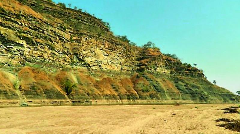 The Bejjur Cliff, a vulture nesting area, has been declared as a conservation reserve in Adilabad