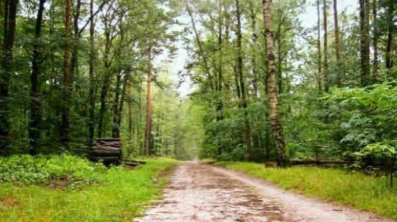 Telangana lost 63 sq km forests