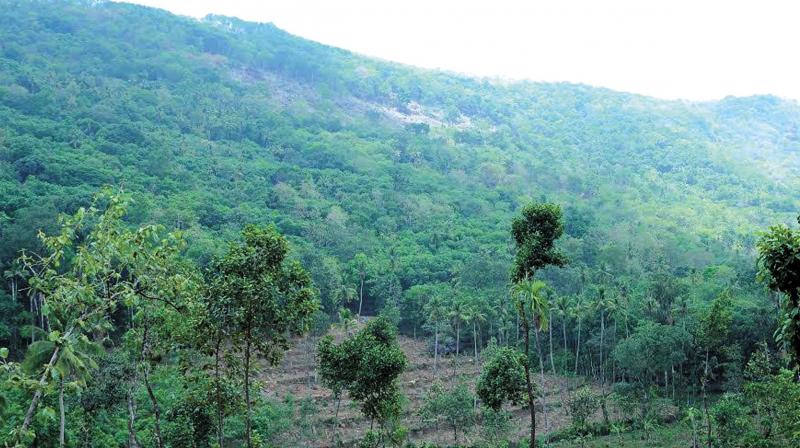 The place at Kottamala where the mining permission license has been granted. (Photo: DC)