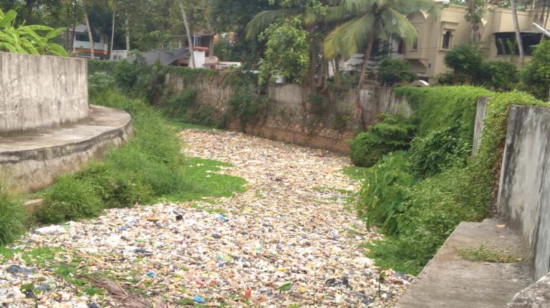 Plastic waste clogs a stretch of Killi river.