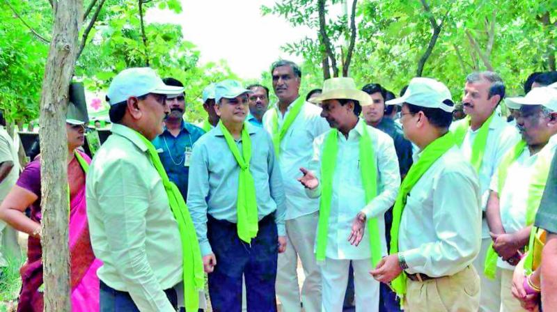 Chief Minister K. Chandrashekhar Rao (second from right) at the launch of the fourth phase of Telangana Ku Haritha Haram in Gajwel on Wednesday.  (Photo:DC)