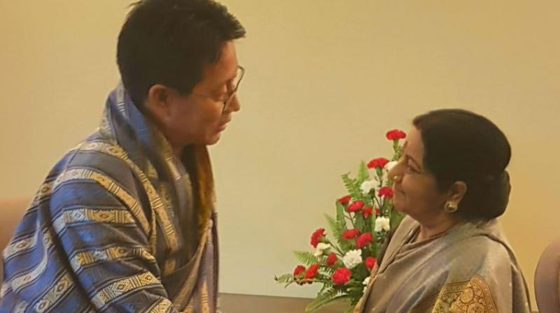 EAM Sushma Swaraj meets with FM of Bhutan Damcho Dorji on sidelines of BIMSTEC Foreign Ministers meet (Photo: MEA India Twitter)