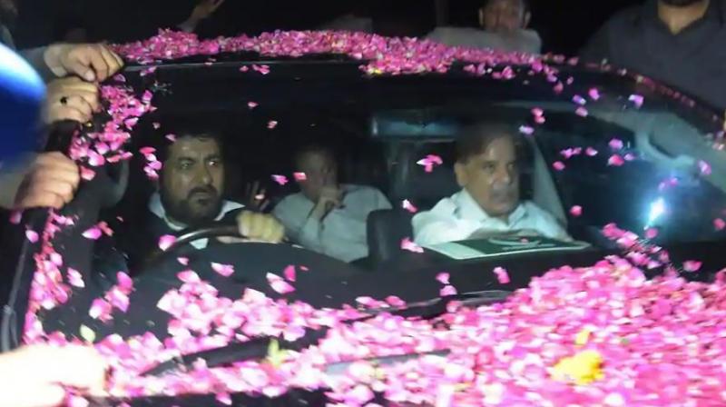 Former Pakistani Prime Minister Nawaz Sharif sits in a vehicle alongside his younger brother Shahbaz Sharif (R) following his release from Adiala prison in Rawalpindi on September 19. (Photo: AP)
