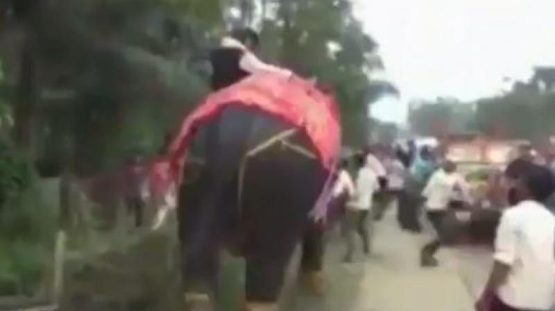On Saturday, when Mallah was on his maiden visit to Ratabari, his constituency, after being elected as the deputy speaker, his supporters insisted that he sat on the elephant.  (Photo: Screengrab | ANI)