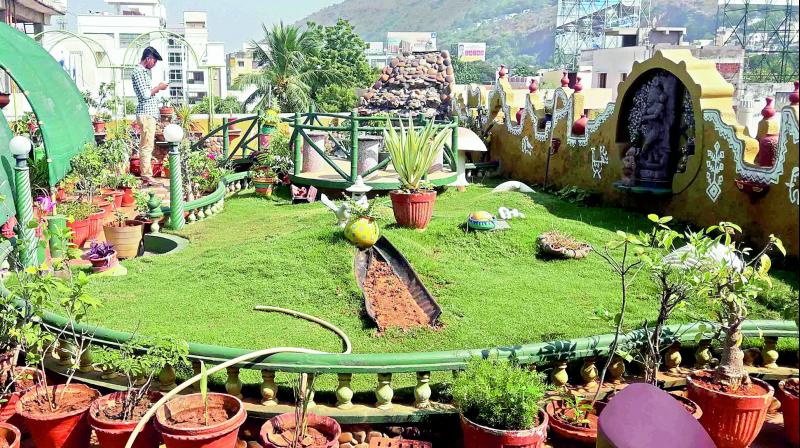 A garden at the roof of a house in Vijayawada. (Photo: DC)