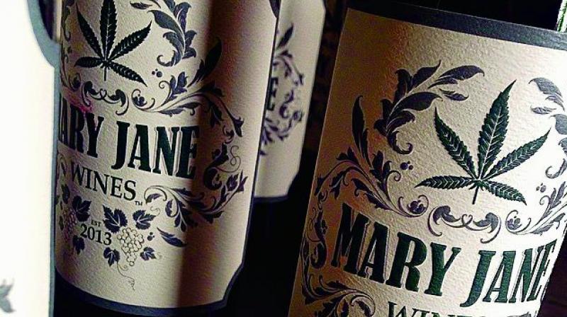 Winemakers in California have introduced a commercial marijuana-laced wine called Canna Vine.