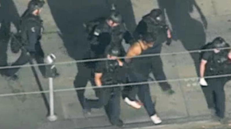 In this image from video provided by KNBC-TV, police officers escort a suspect away from a Trader Joes supermarket in the Silver Lake district of Los Angeles on Saturday after a more than three hour standoff.(Photo: AP)