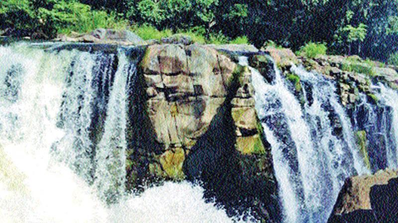 Waterfalls that have sprouted in Coonoor-Burliar slopes along Ooty-NH turn out to be tourist attraction (Photo: DC)