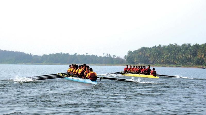 Indian Naval Academy cadets participate at the inter-squadron rowing championship competition - Autumn Term 2016. (File pic)