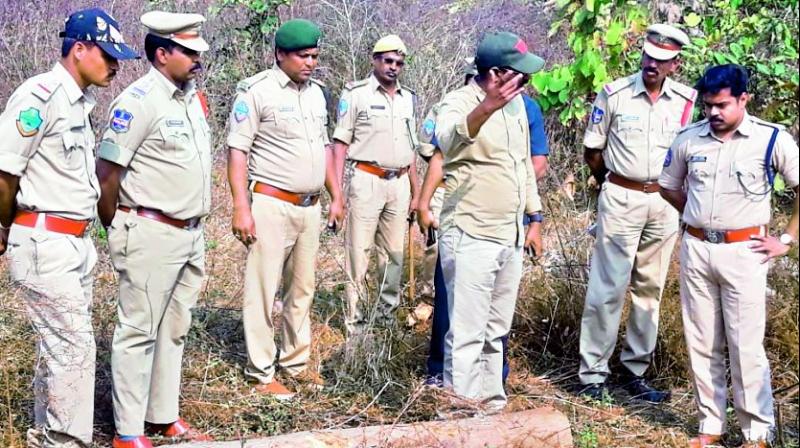 Police superintendent Vishnu S. Warrier seizes teakwood logs that were hidden in the bushes by the smugglers on the outskirts of Jogipet village in Sirikonda mandal in Adilabad district on Friday. (Photo: DC)
