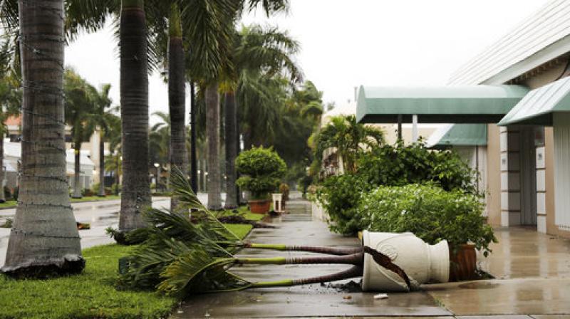 A planter is blown over from the effects of Hurricane Irma outside a business in Naples, Florida. (Photo: AP)