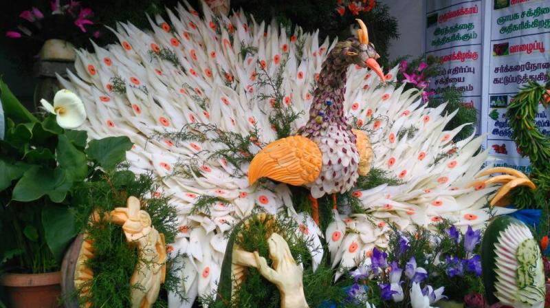 Peacock shaped out of  vegetables and a ship made out of capsicum are among the attractions in the vegetable show. (Photo: DC)