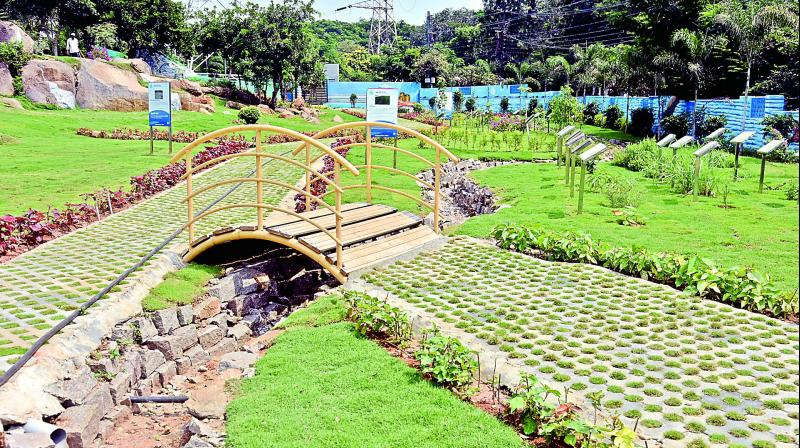 The Rainwater Harvesting park