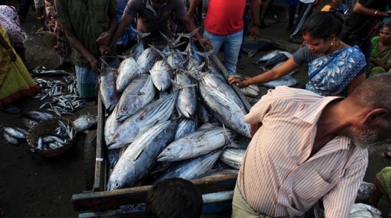 The most common form of exposure to mercury is by eating fish containing methylmercury (Photo: AFP)