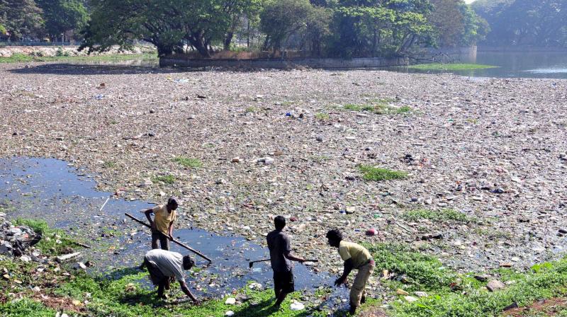 In this file photo, workers clean up Ulsoor Lake in Bengaluru
