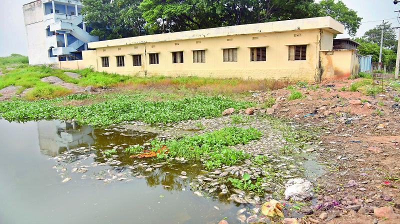 Windows of the classrooms that face the lake have been shut because of the unbearable stench. No remedial measures had been initiated by the authorities.