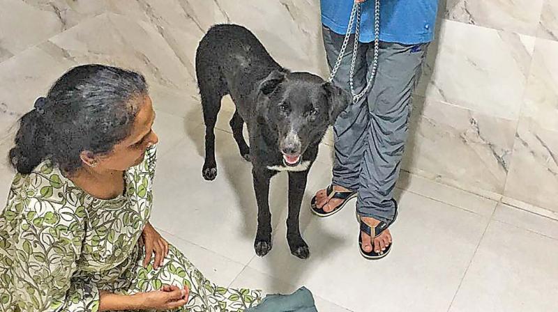 Vijaya with Luke (Photo: DC)