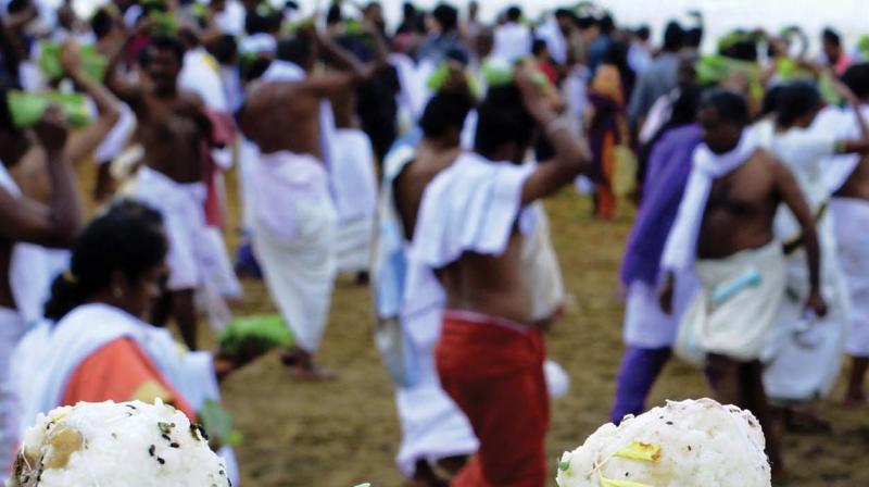 The believers offer Karkidaka Vavu bali as a tribute to ancestors at Shangumugham in Thiruvananthapuram  on Saturday. (Photo: A.V. MUZAFAR)