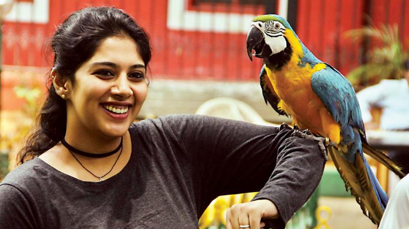 A pet lover displays  her pet macaw during a press conference on The fourth edition of Bangalore Pet Show at Press Club in Bengaluru on SaturdayKPN