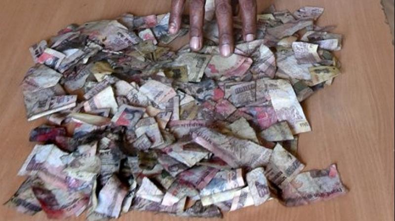 Earlier on Monday, shredded Rs 500 and Rs 1000 currency notes were also found floating on drains in Chandan Nagar and Rukminigaon areas of Guwahati. (Photo: PTI)
