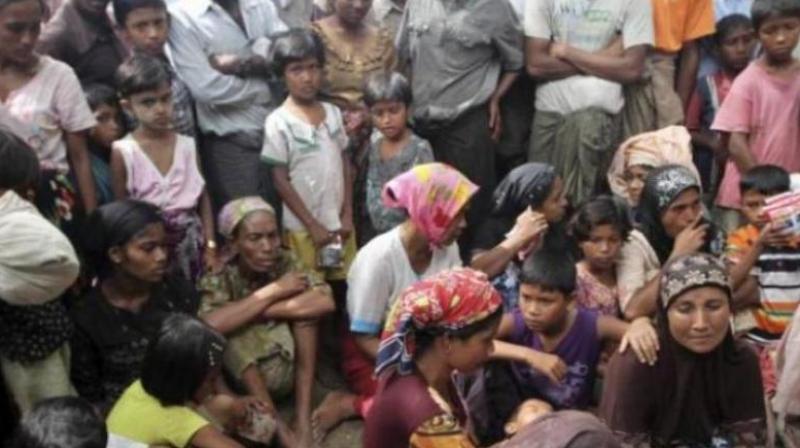 Rohingya refugees as they pose a security threat to the nation, BJP leader S Prakash said. (Photo: File)