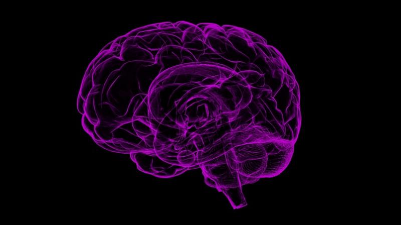 Brain patterns could help predict risk of epileptic seizures. (Photo: Pixabay)