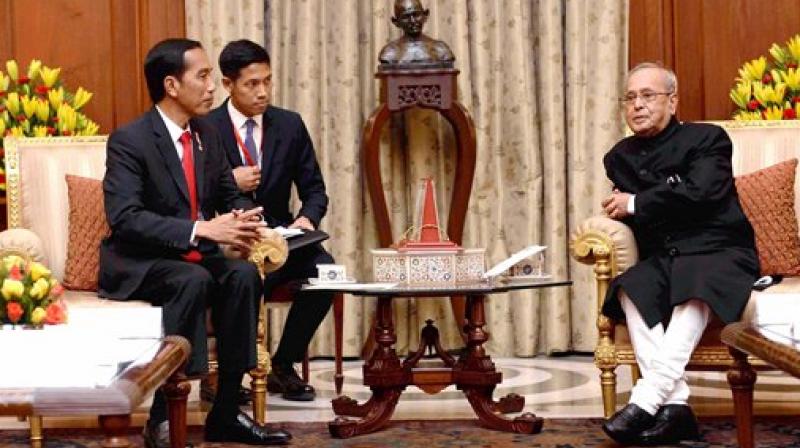 President Pranab Mukherjee with Indonesian President Joko Widodo in a meeting at Rashtrapati Bhavan. (Photo: AP)