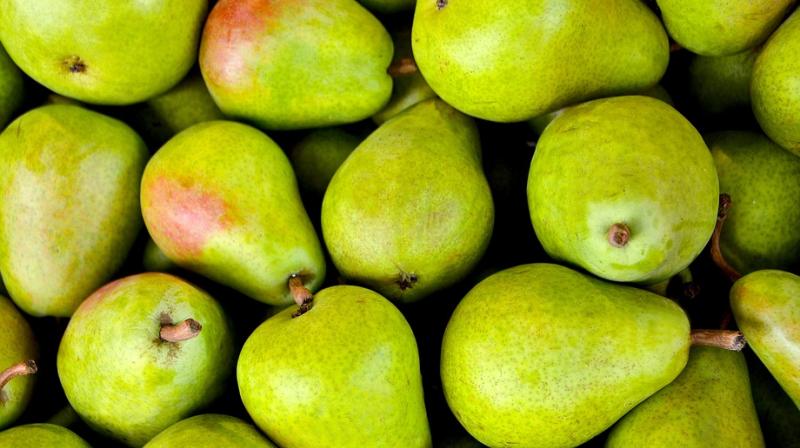 Health benefits of pears. (Photo: Pixabay)