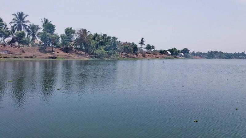 Perungalathur Periya Lake Ecological Restoration