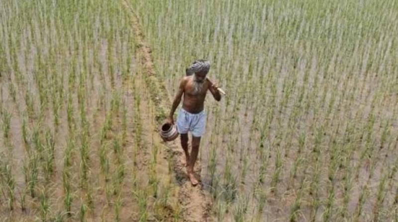 AIADMK government on Wednesday said Centres demonetisation decision would hit its crop loan target for the year. (Photo: PTI/Representational)