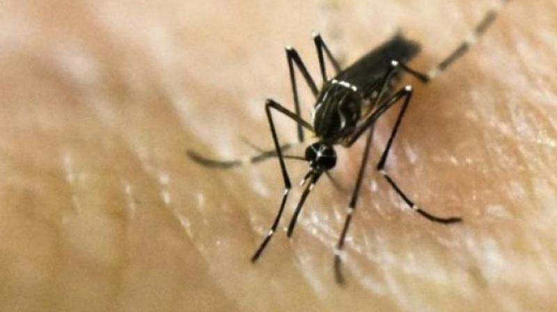 The disease, which originates from pigs and spreads to humans, mostly children, through mosquitoes, had surfaced in the district around 44 days ago.