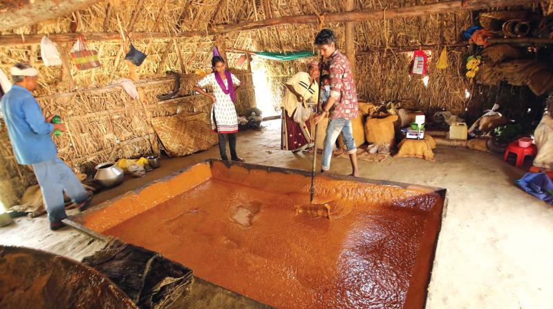 The preparation of Marayur jaggery in progress in Marayur.  	 By arrangement