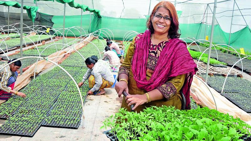 Anuradha has got a fleet of women from her village Ibrahimpatnam who are helping her out on the field as she works towards her mission of providing healthy seedlings to farmers.