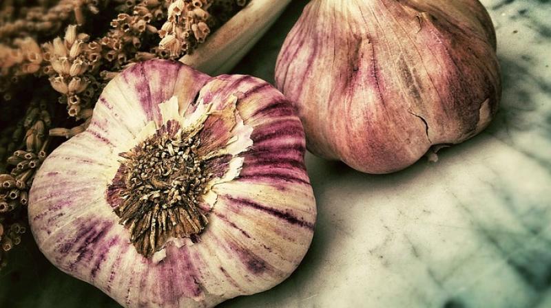 Researchers find how garlic could help