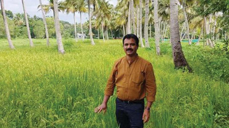 Agricultural officer V. R. Binesh near upland paddy cultivation.